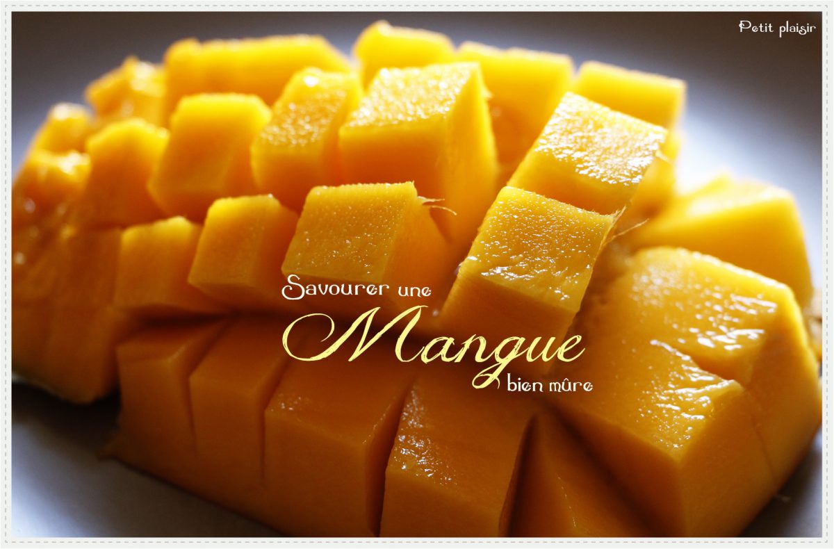 La première bouchée de mangue