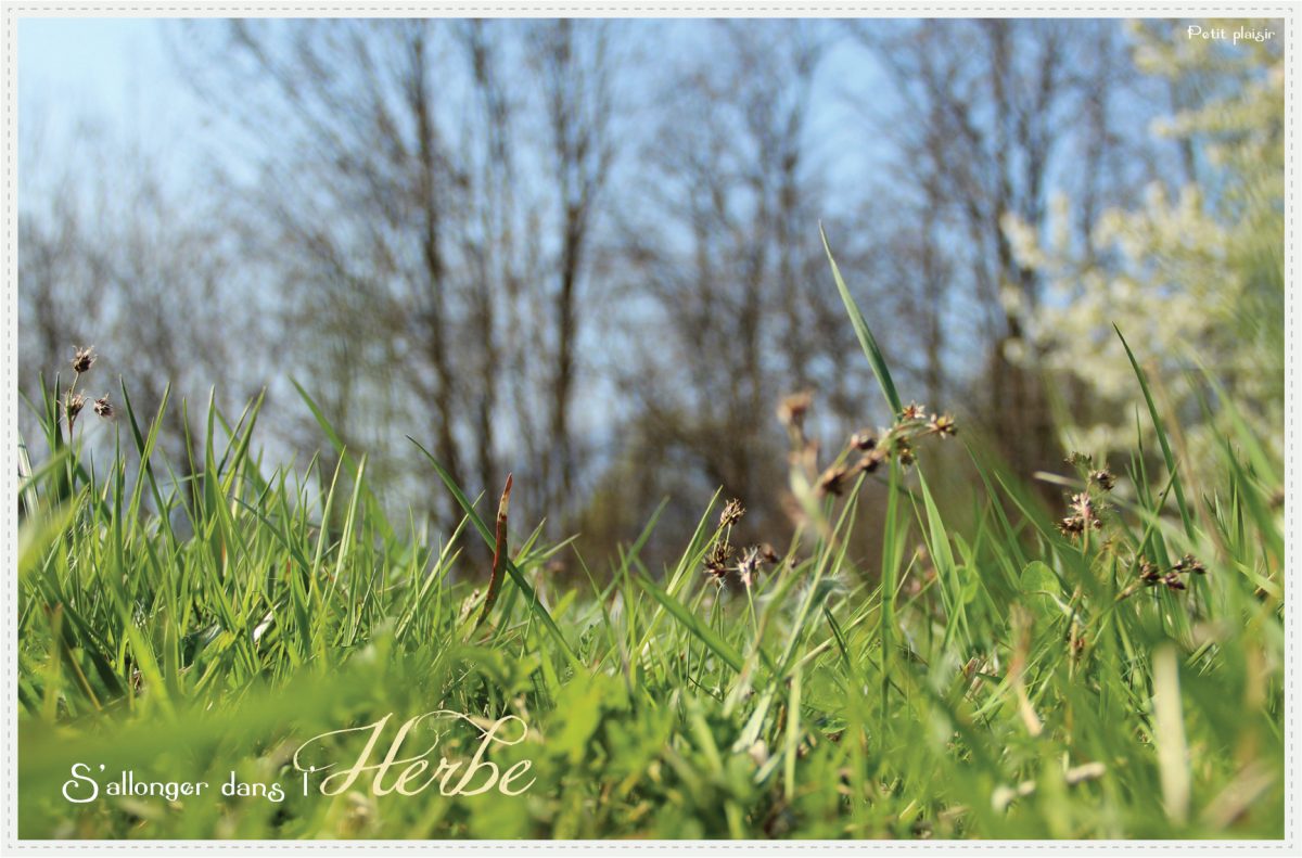 S’allonger dans l’herbe