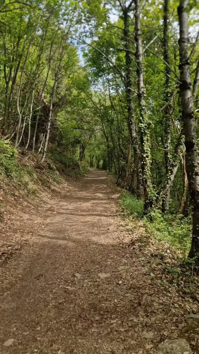 Dimanche en #chartreuse