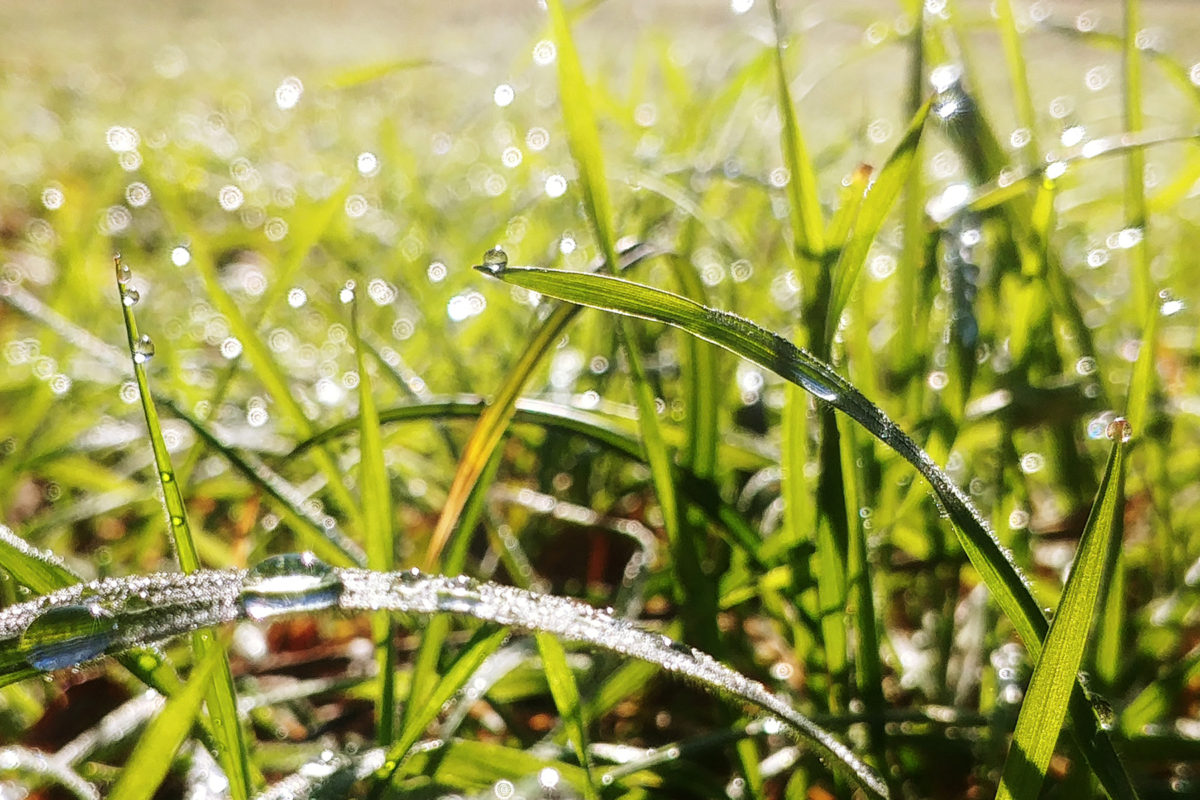 Après la pluie